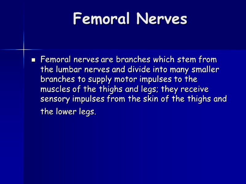 Femoral Nerves  Femoral nerves are branches which stem from the lumbar nerves and